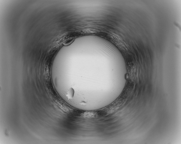 X0000096460418200802071838