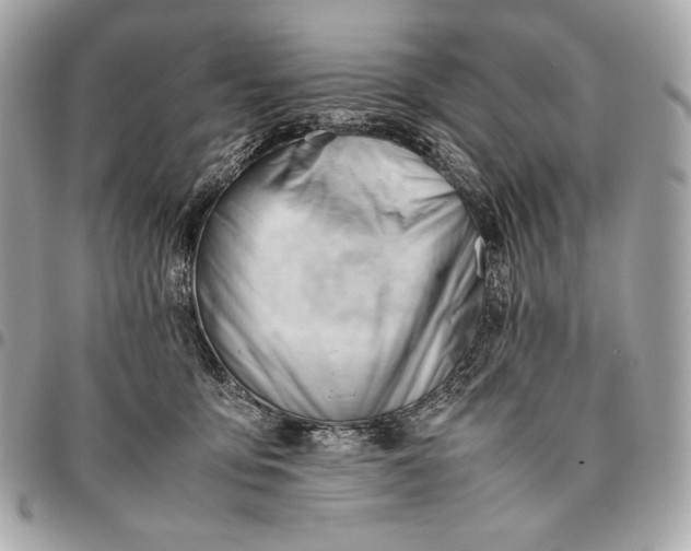 X0000096460419200802071838