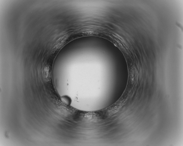 X0000096460420200802071838