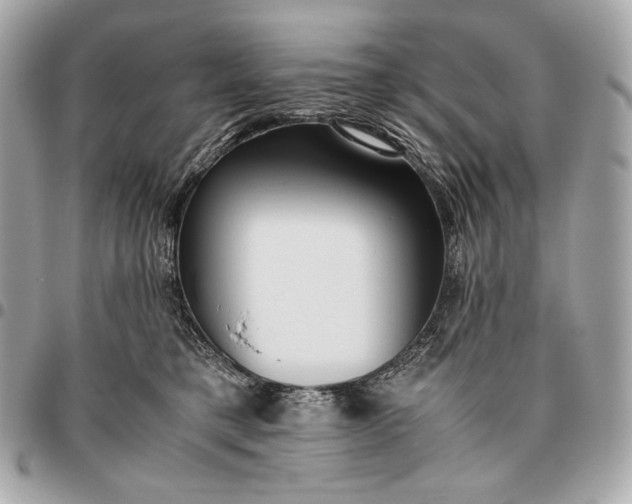 X0000096460421200802071838