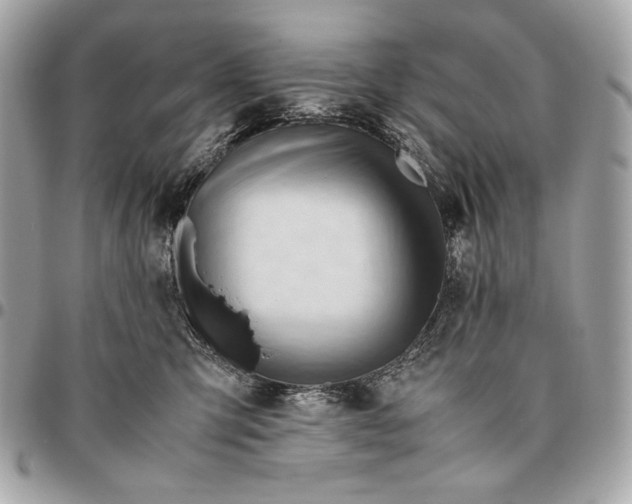 X0000096460423200802071838