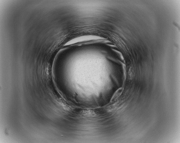 X0000096460424200802071838