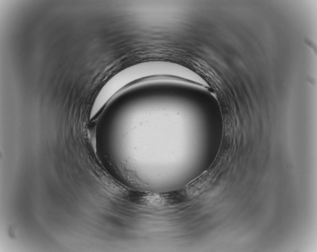 X0000096460425200802071838