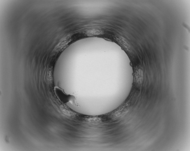 X0000096460426200802071838