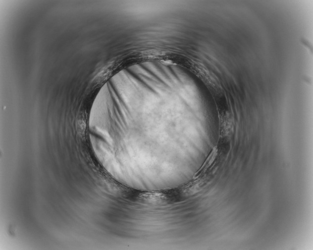 X0000096460427200802071838