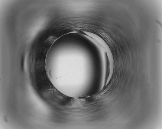 X0000096460429200802071838