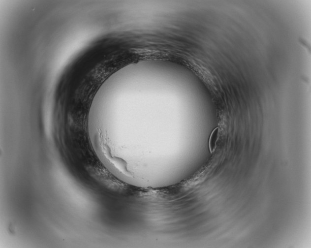 X0000096460430200802071838