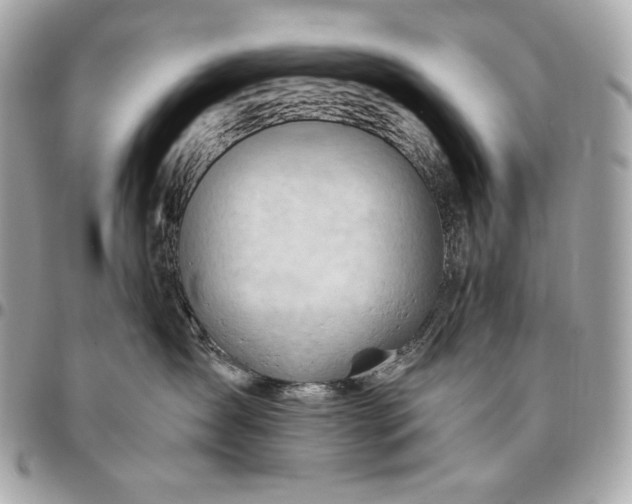 X0000096460431200802071838