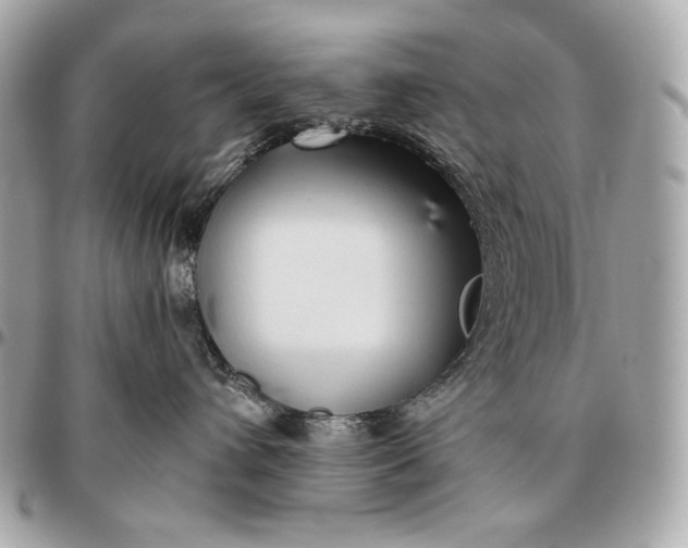X0000096460432200802071838