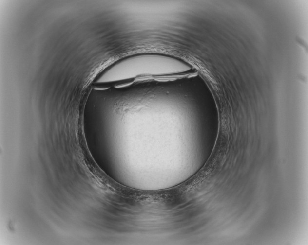 X0000096460434200802071837
