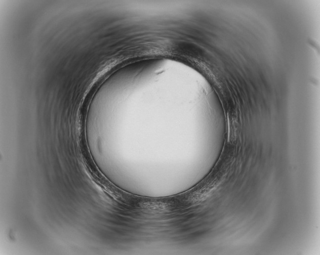X0000096460435200802071837