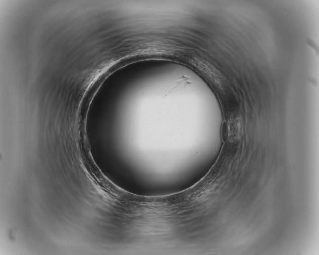 X0000096460436200802071837