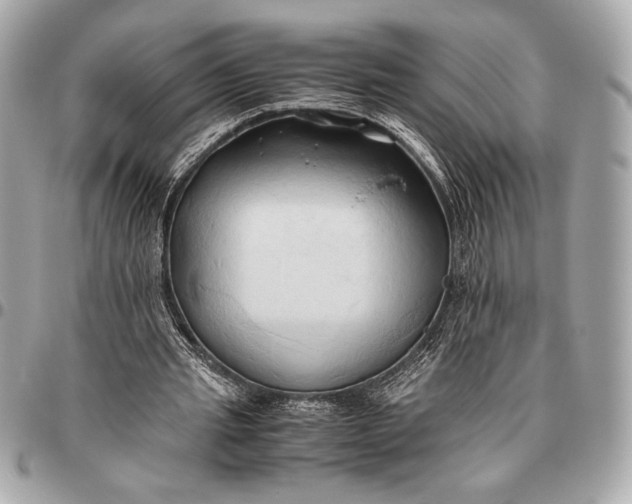 X0000096460437200802071837