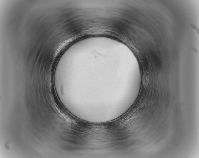 X0000096460438200802071837