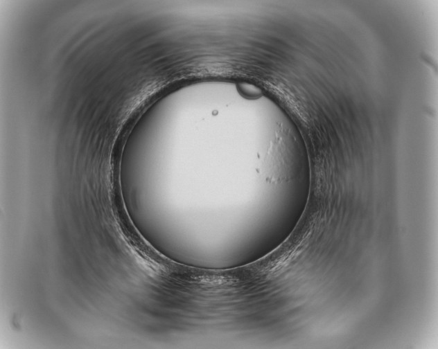 X0000096460439200802071837