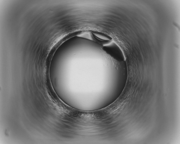 X0000096460440200802071837