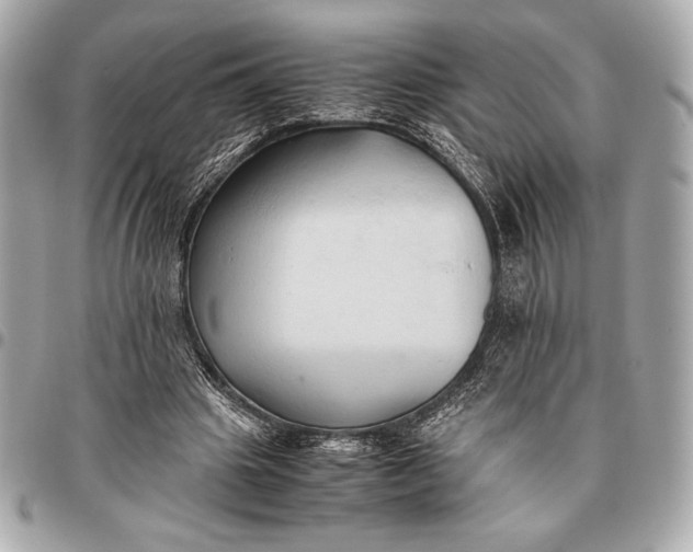 X0000096460441200802071837