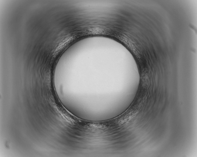 X0000096460442200802071837