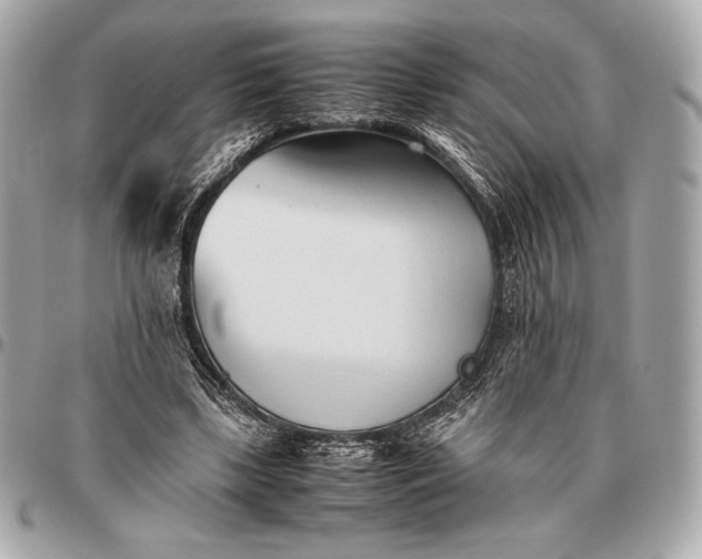 X0000096460443200802071837