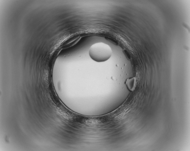 X0000096460444200802071837