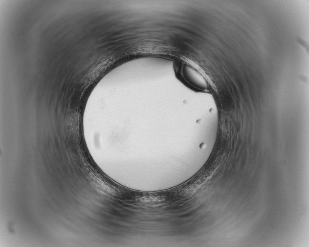 X0000096460445200802071837
