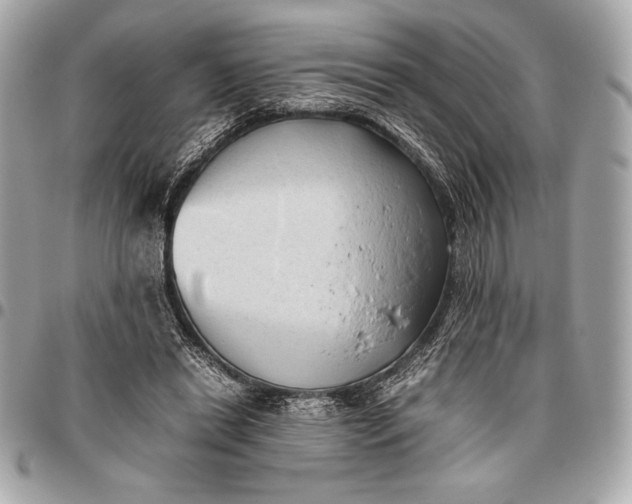 X0000096460446200802071837