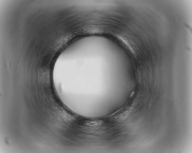 X0000096460447200802071837