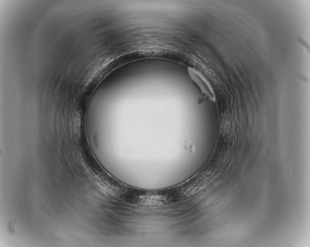 X0000096460448200802071837