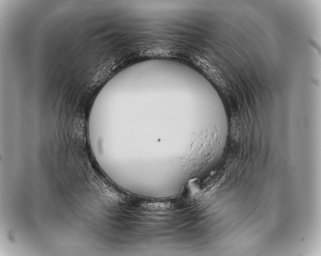 X0000096460449200802071837