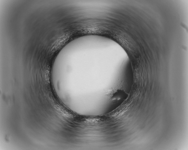 X0000096460450200802071837