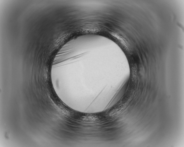 X0000096460451200802071837