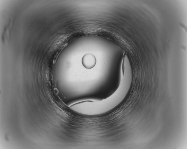 X0000096460452200802071837