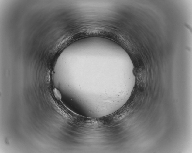X0000096460454200802071837