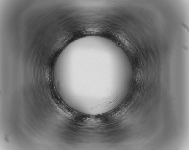 X0000096460455200802071837