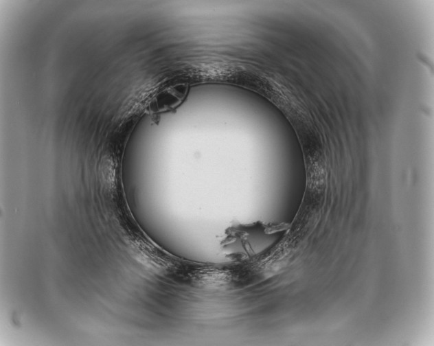 X0000096460456200802071837