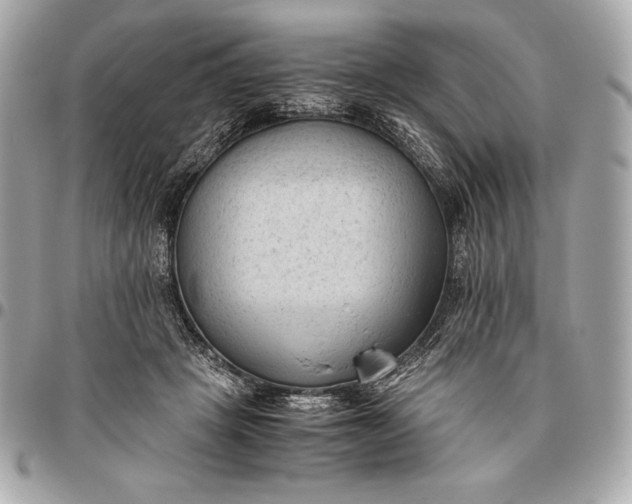 X0000096460457200802071837