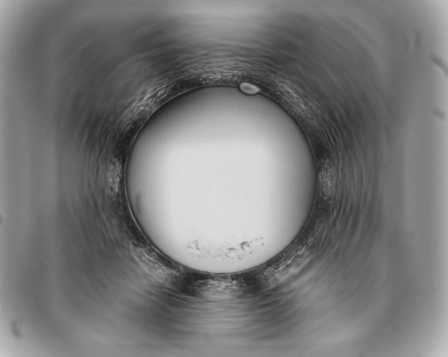 X0000096460458200802071838