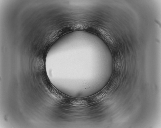 X0000096460459200802071838