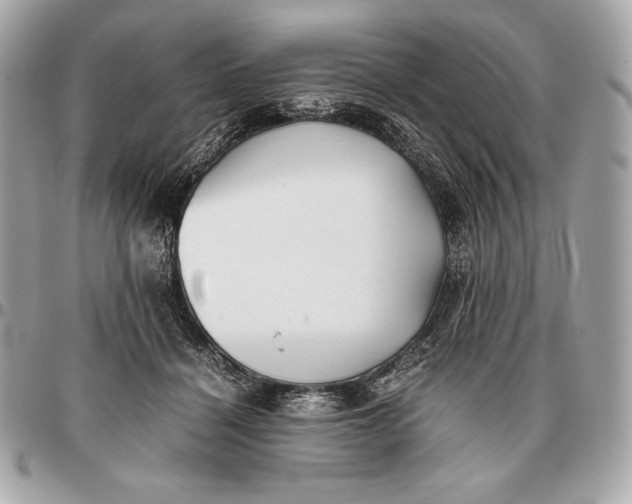 X0000096460460200802071838