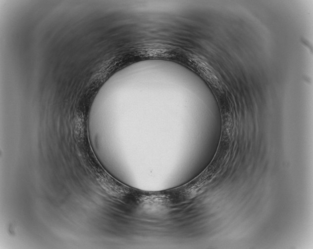 X0000096460461200802071838