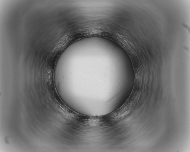 X0000096460462200802071838