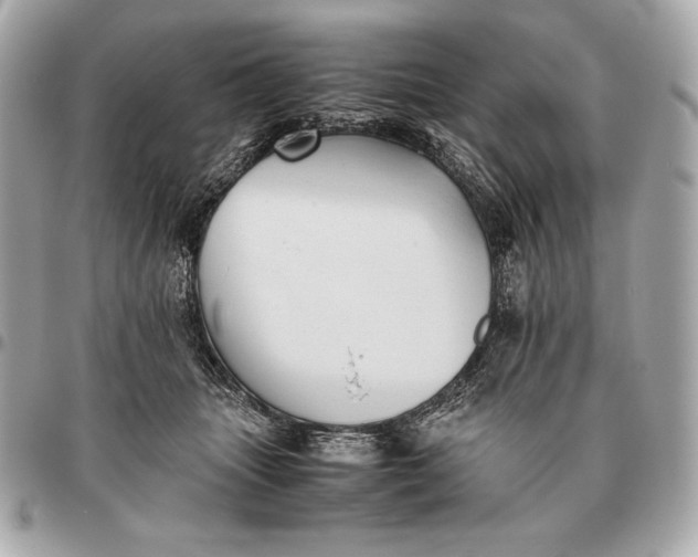 X0000096460463200802071838