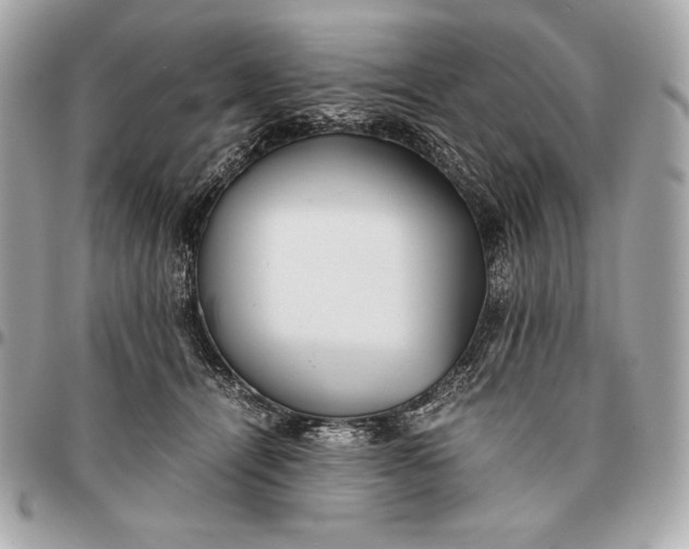 X0000096460464200802071838