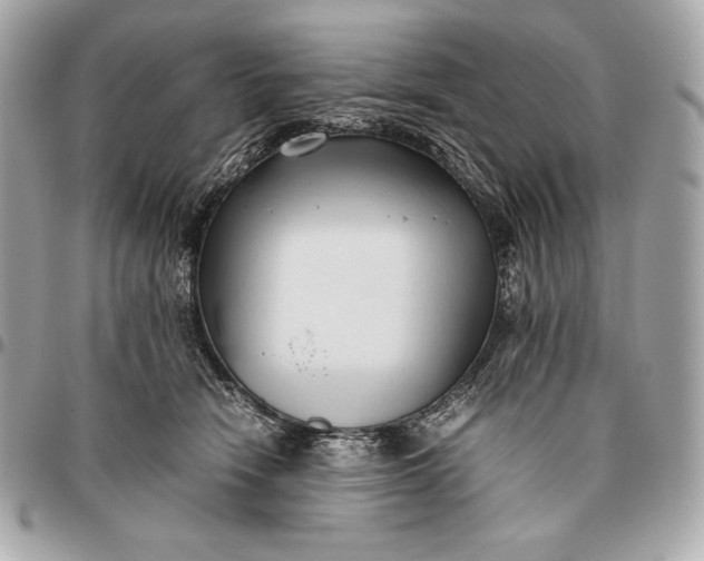 X0000096460466200802071838