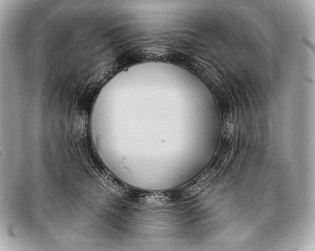 X0000096460468200802071838