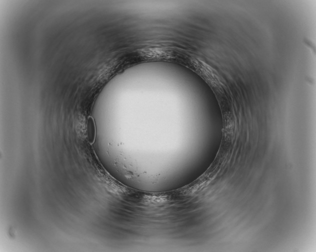 X0000096460469200802071838