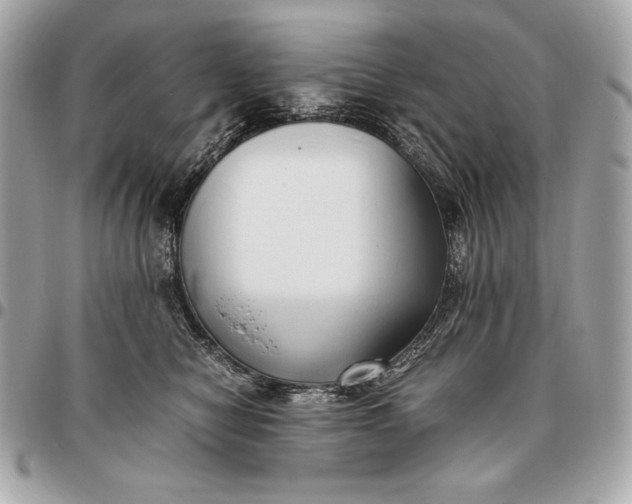 X0000096460470200802071838