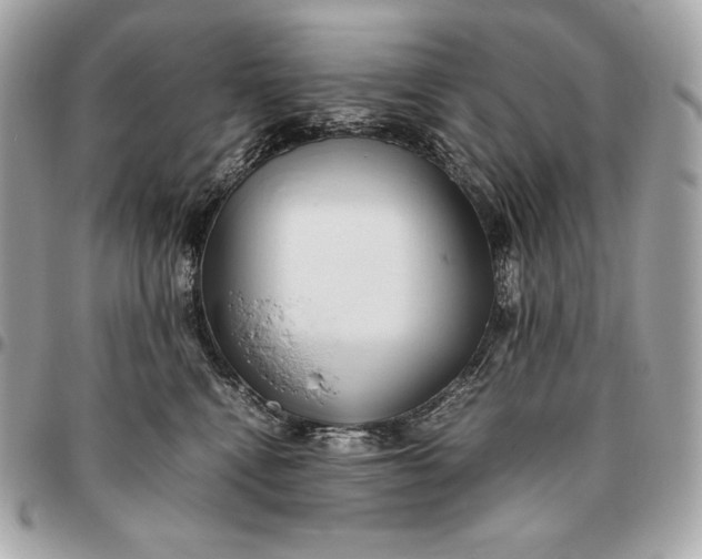 X0000096460472200802071838