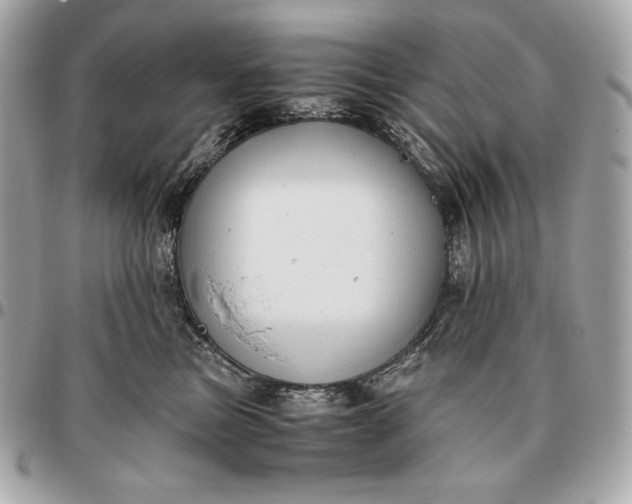 X0000096460473200802071838