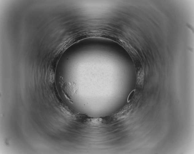 X0000096460474200802071838